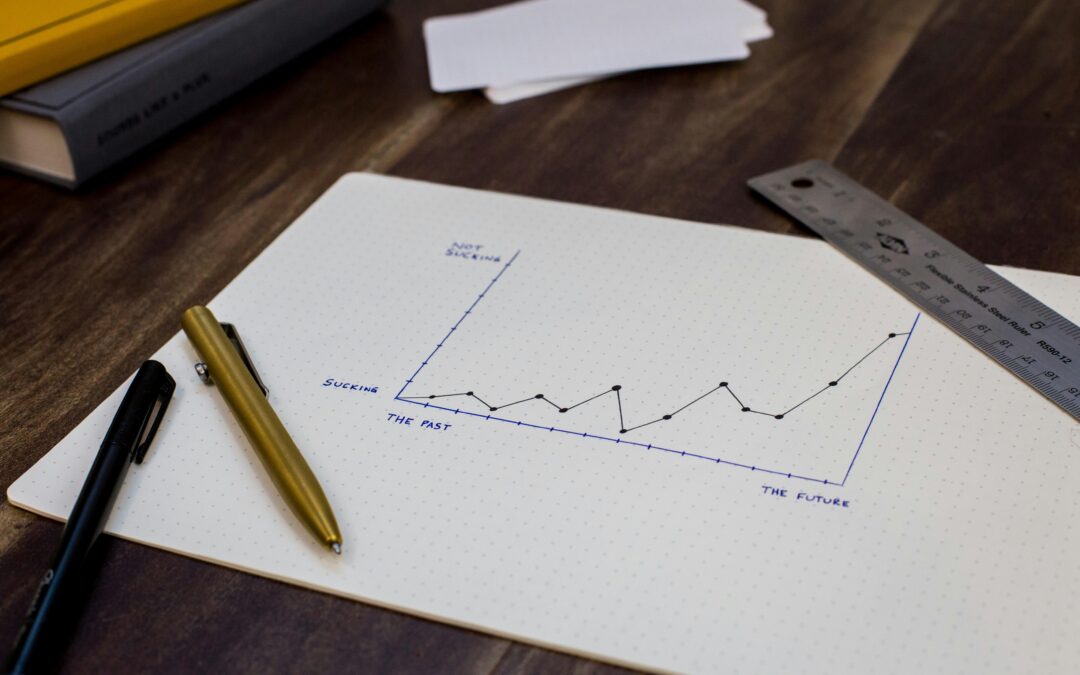 Enhancing Sales Efficiency and Strategic Growth for DistributionBiz